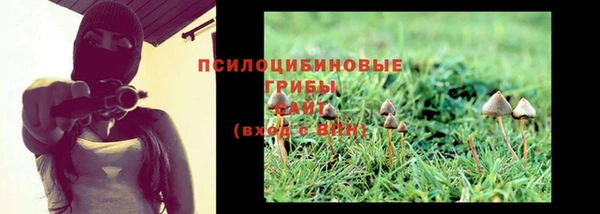 ECSTASY Алзамай