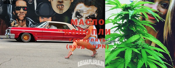 ECSTASY Алзамай