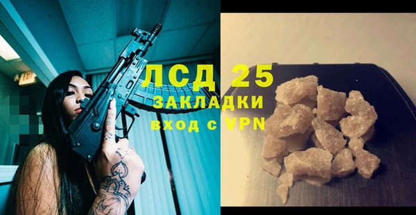 ECSTASY Алзамай
