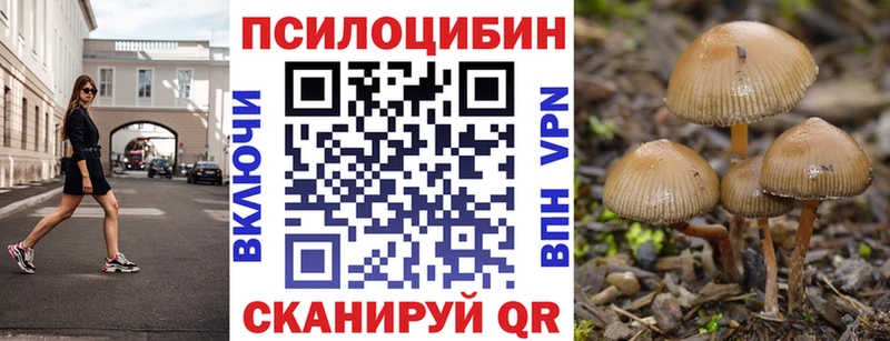 Псилоцибиновые грибы Psilocybe  ОМГ ОМГ вход  нарко площадка как зайти  Тейково 